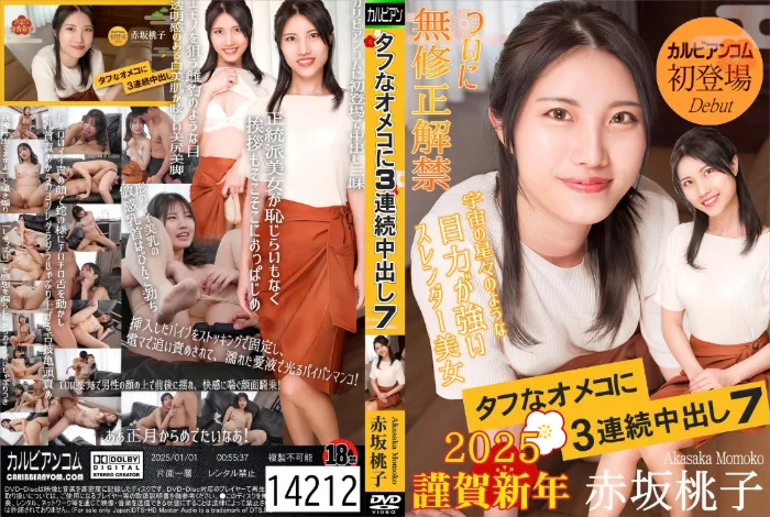 タフなオメコに3連続中出し 7 赤坂桃子